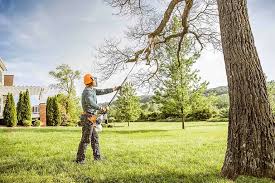 Best Seasonal Cleanup (Spring/Fall)  in Graham, TX