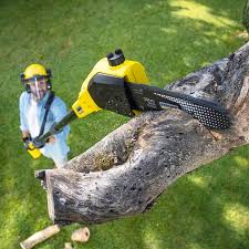 Best Lawn Maintenance Plans  in Graham, TX