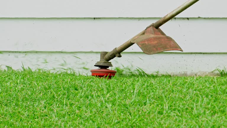 Best Organic Lawn Care Solutions  in Graham, TX