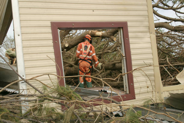 Professional Tree Services in Graham, TX